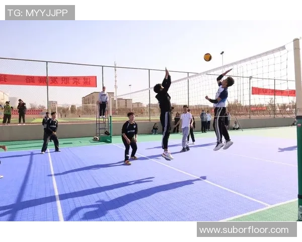 北京排球队的耐力挑战与训练探索聚焦排球运动的未来发展